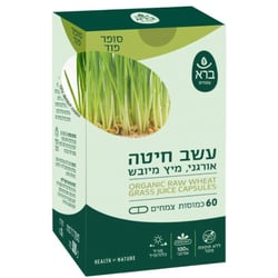 עשב חיטה אורגני
